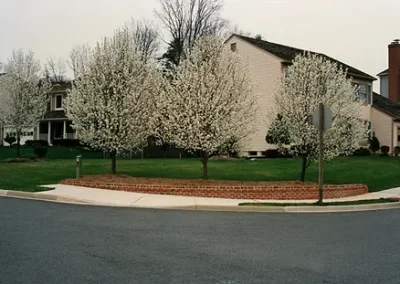 Expert Masonry Installation Service